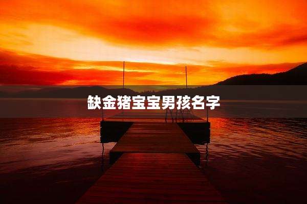 缺金猪宝宝男孩名字
