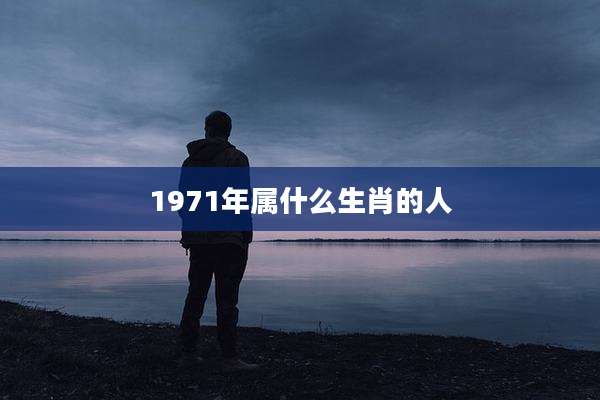 1971年属什么生肖的人