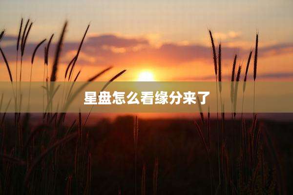 星盘怎么看缘分来了