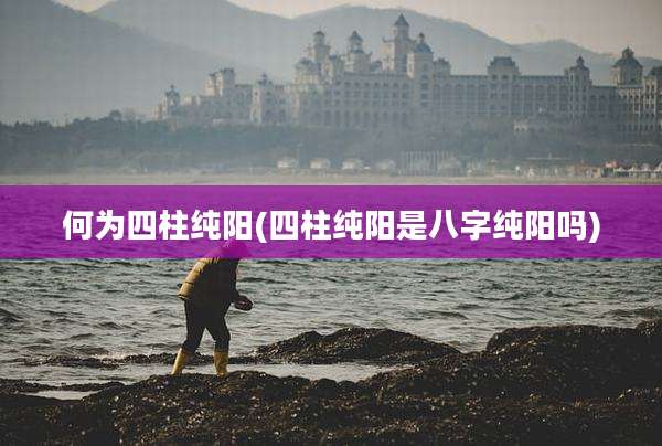 何为四柱纯阳(四柱纯阳是八字纯阳吗)