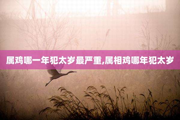 属鸡哪一年犯太岁最严重,属相鸡哪年犯太岁