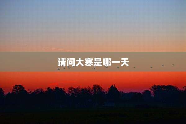 请问大寒是哪一天