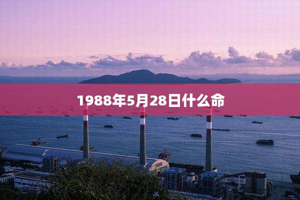 1988年5月28日什么命