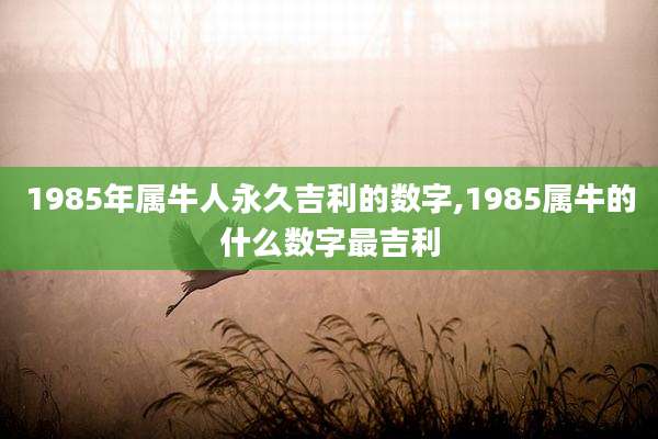 1985年属牛人永久吉利的数字,1985属牛的什么数字最吉利