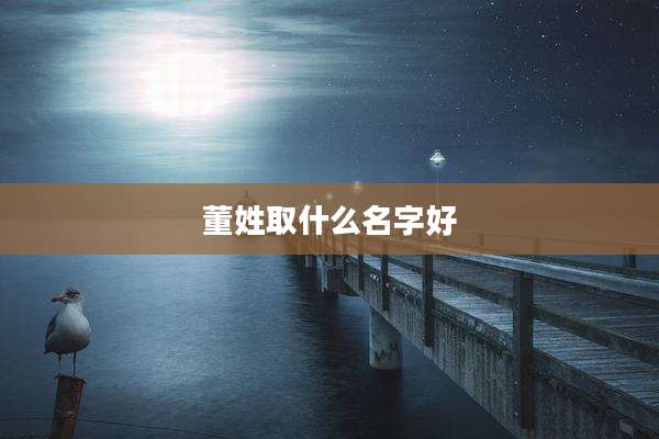 董姓取什么名字好