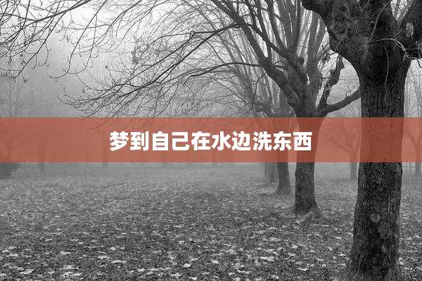 梦到自己在水边洗东西