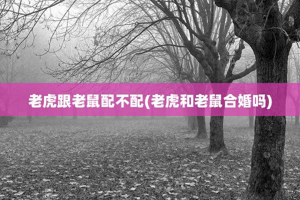 老虎跟老鼠配不配(老虎和老鼠合婚吗)