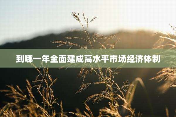 到哪一年全面建成高水平市场经济体制