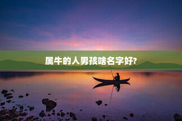 属牛的人男孩啥名字好?