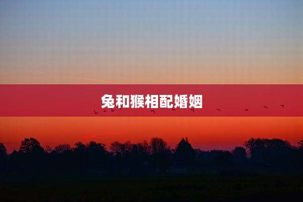 兔和猴相配婚姻
