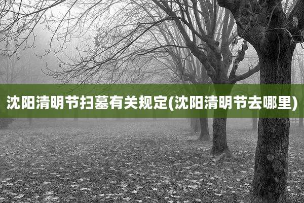 沈阳清明节扫墓有关规定(沈阳清明节去哪里)