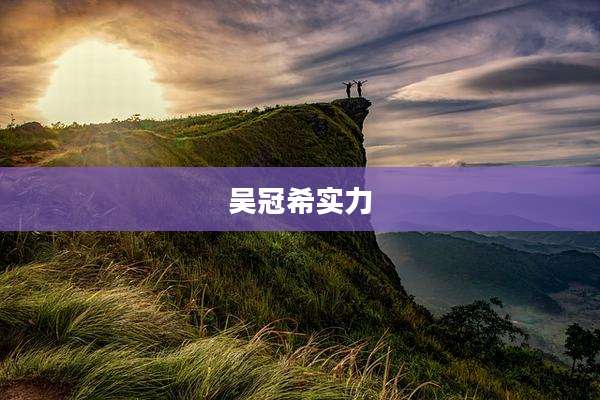 吴冠希实力