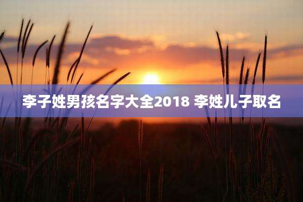 李子姓男孩名字大全2018 李姓儿子取名