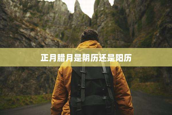 正月腊月是阴历还是阳历