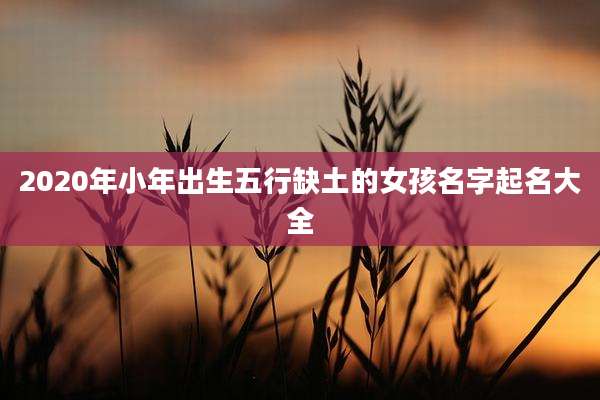 2020年小年出生五行缺土的女孩名字起名大全
