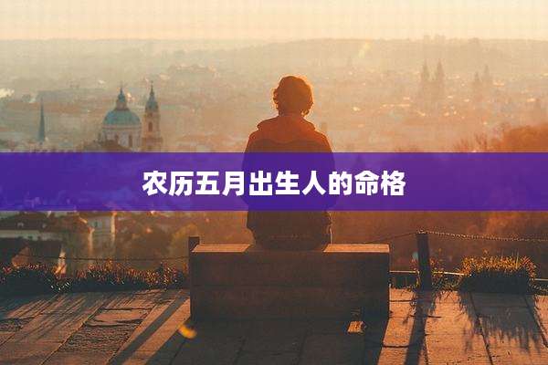 农历五月出生人的命格