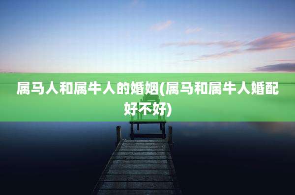 属马人和属牛人的婚姻(属马和属牛人婚配好不好)