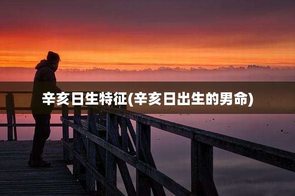 辛亥日生特征(辛亥日出生的男命)