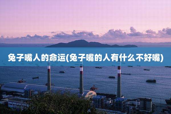 兔子嘴人的命运(兔子嘴的人有什么不好嘴)