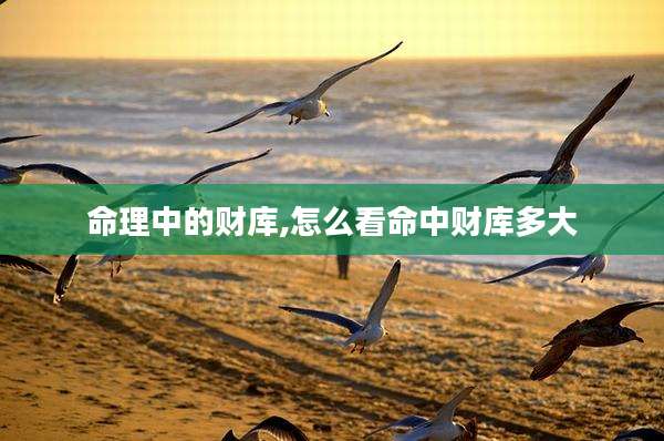 命理中的财库,怎么看命中财库多大