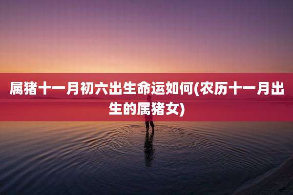 属猪十一月初六出生命运如何(农历十一月出生的属猪女)