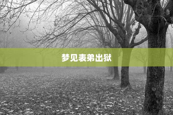 梦见表弟出狱