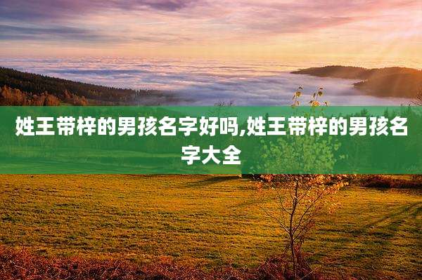 姓王带梓的男孩名字好吗,姓王带梓的男孩名字大全