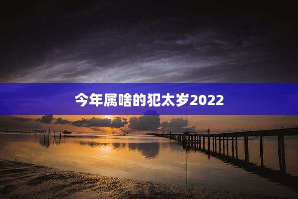 今年属啥的犯太岁2022
