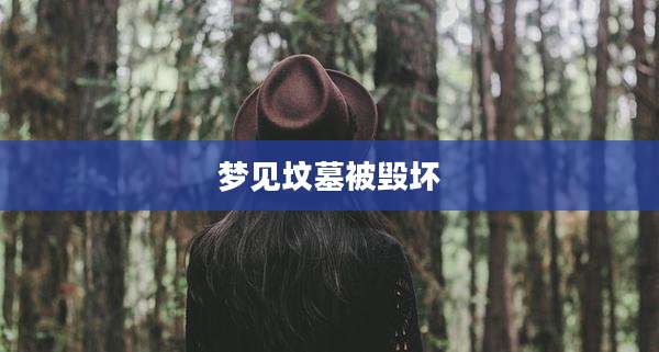梦见坟墓被毁坏