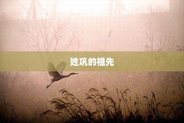 姓巩的祖先