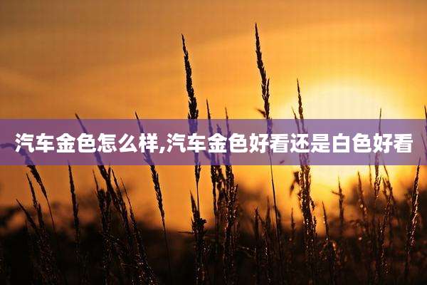 汽车金色怎么样,汽车金色好看还是白色好看