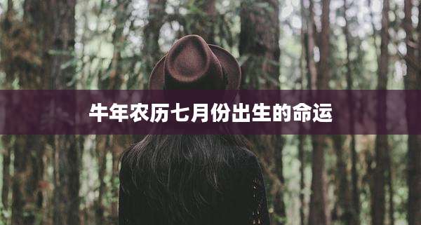 牛年农历七月份出生的命运