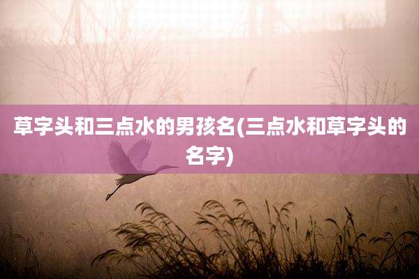 草字头和三点水的男孩名(三点水和草字头的名字)