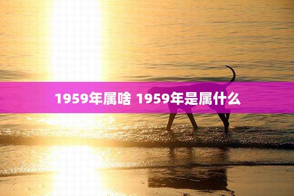 1959年属啥 1959年是属什么