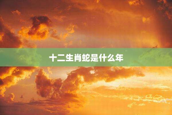 十二生肖蛇是什么年