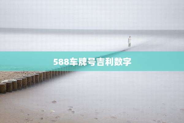 588车牌号吉利数字