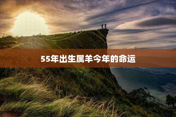 55年出生属羊今年的命运