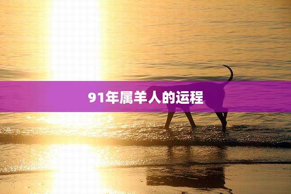 91年属羊人的运程