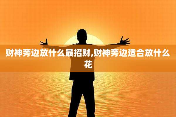 财神旁边放什么最招财,财神旁边适合放什么花