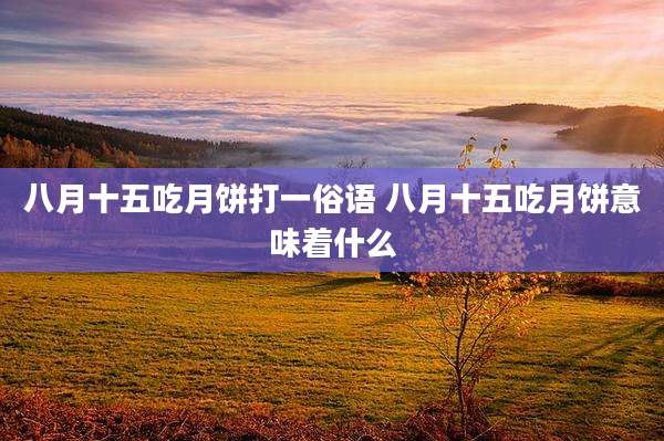 八月十五吃月饼打一俗语 八月十五吃月饼意味着什么