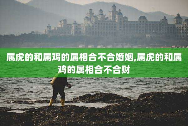 属虎的和属鸡的属相合不合婚姻,属虎的和属鸡的属相合不合财