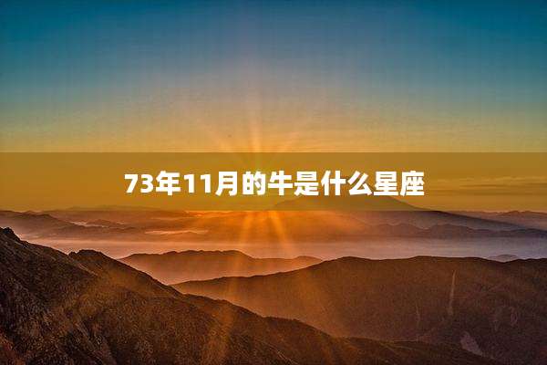 73年11月的牛是什么星座
