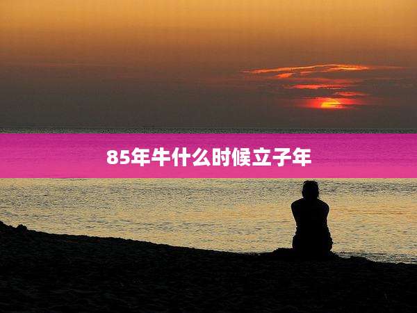 85年牛什么时候立子年