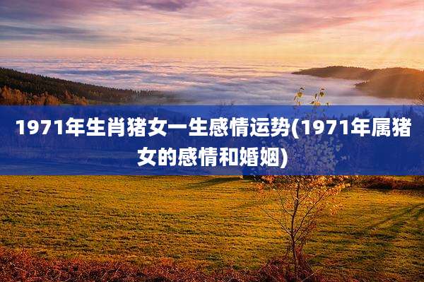 1971年生肖猪女一生感情运势(1971年属猪女的感情和婚姻)