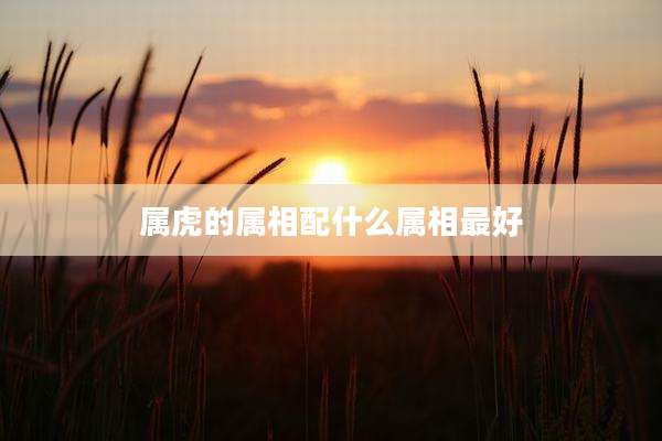 属虎的属相配什么属相最好