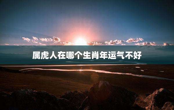 属虎人在哪个生肖年运气不好