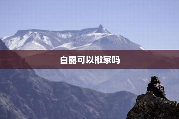 白露可以搬家吗