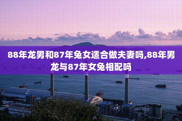 88年龙男和87年兔女适合做夫妻吗,88年男龙与87年女兔相配吗