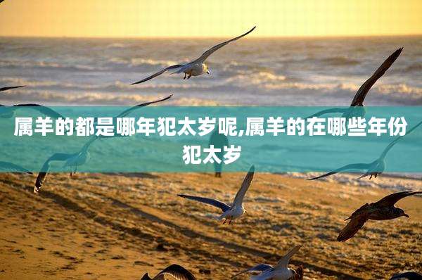 属羊的都是哪年犯太岁呢,属羊的在哪些年份犯太岁