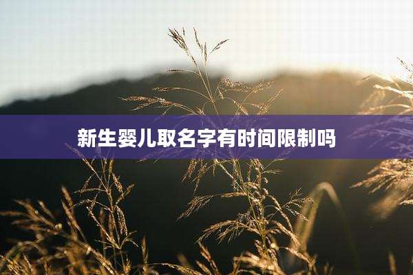 新生婴儿取名字有时间限制吗